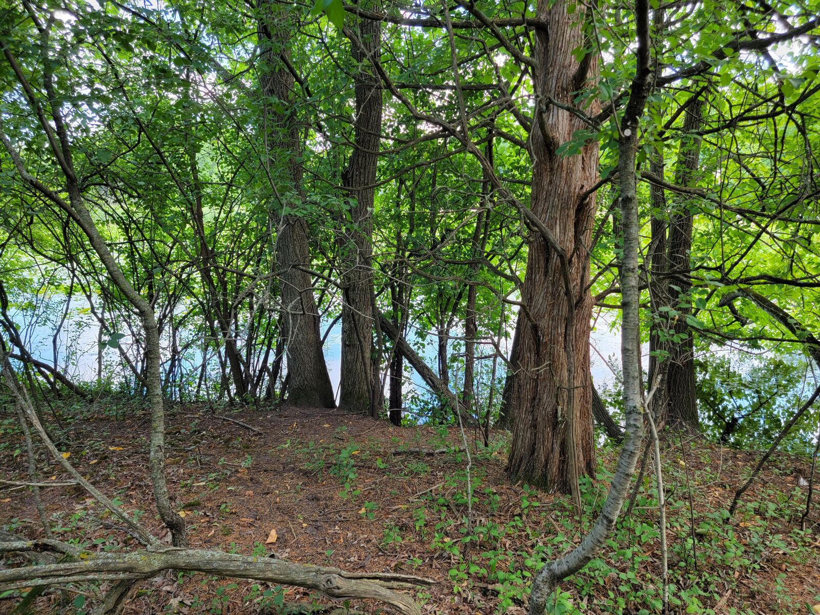 Property Photo: L16,17,18 Road L - WI 53066