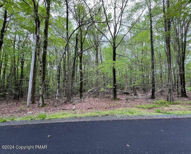 Property Photo:  Lot 1313-J Packanack Drive  PA 18424 