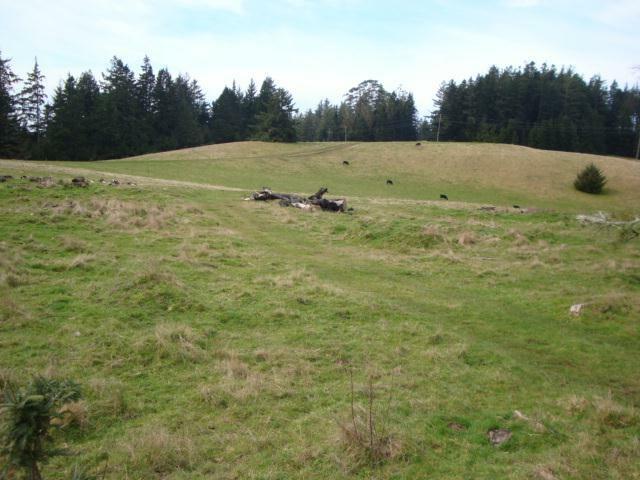 Property Photo: 0 Berta Road CA 95503