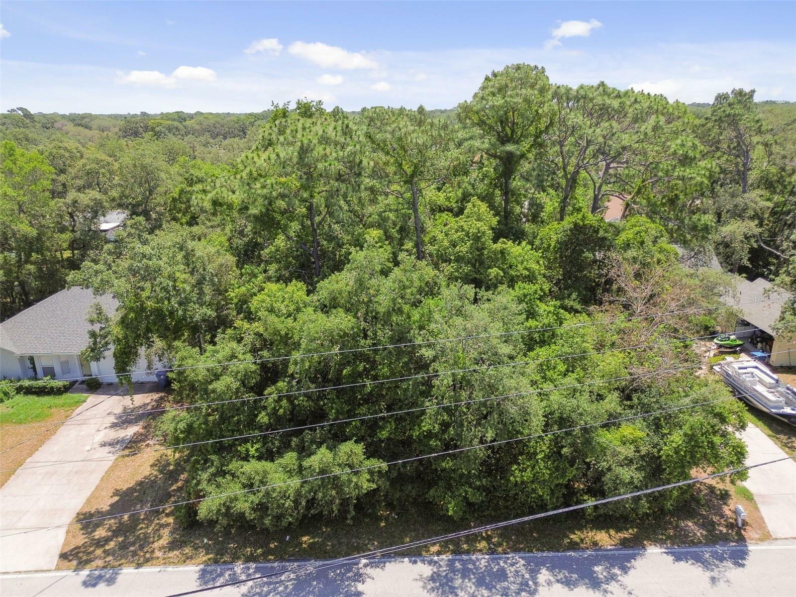 Property Photo:  2024 Waterfall Drive  FL 34608 