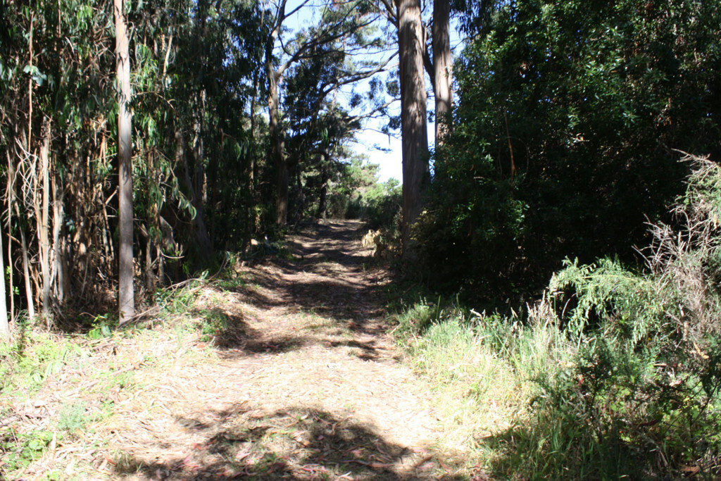 Property Photo: 24950 Ca-1 CA 95437
