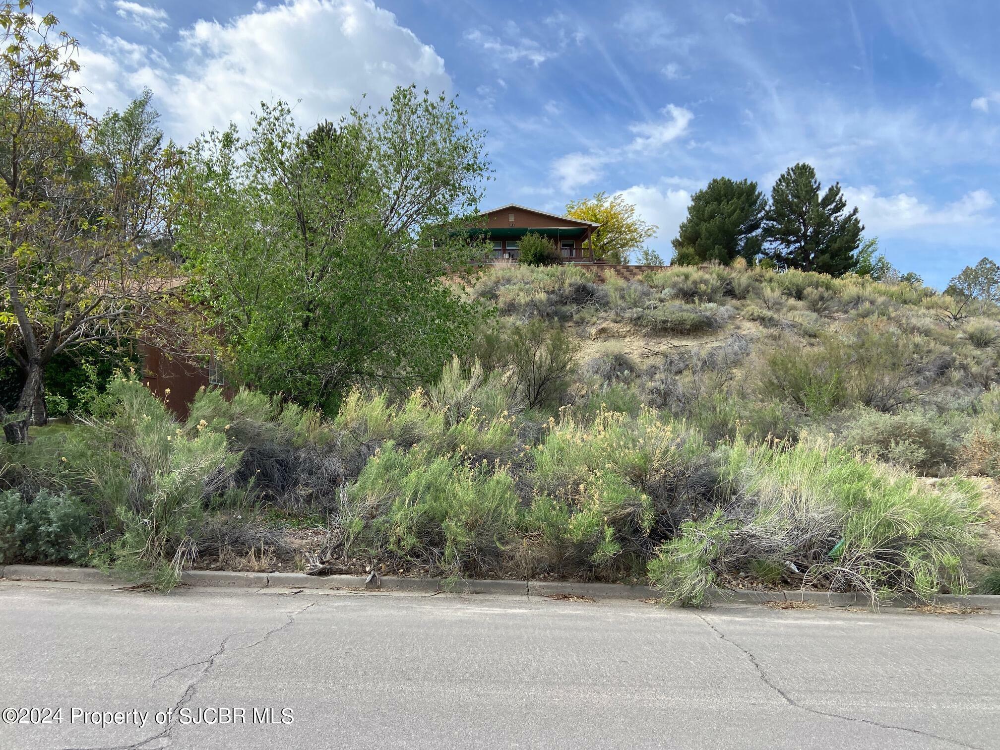 Property Photo:  Lot7 Lot A W 24th Street  NM 87401 