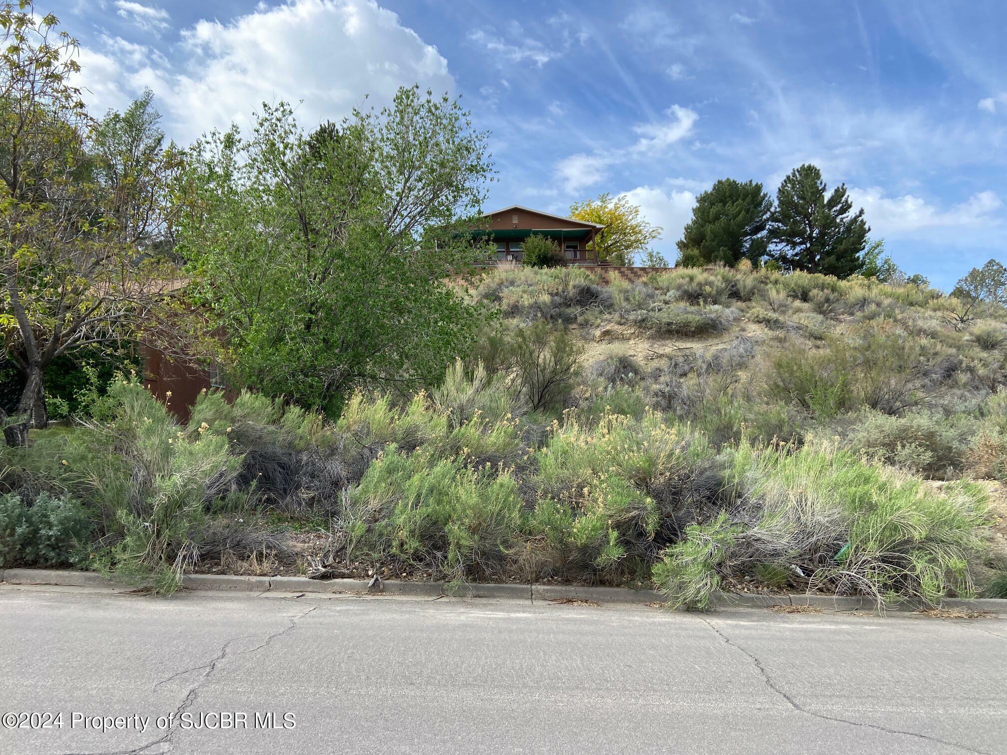 Property Photo: Lot7 Lot A W 24th Street NM 87401