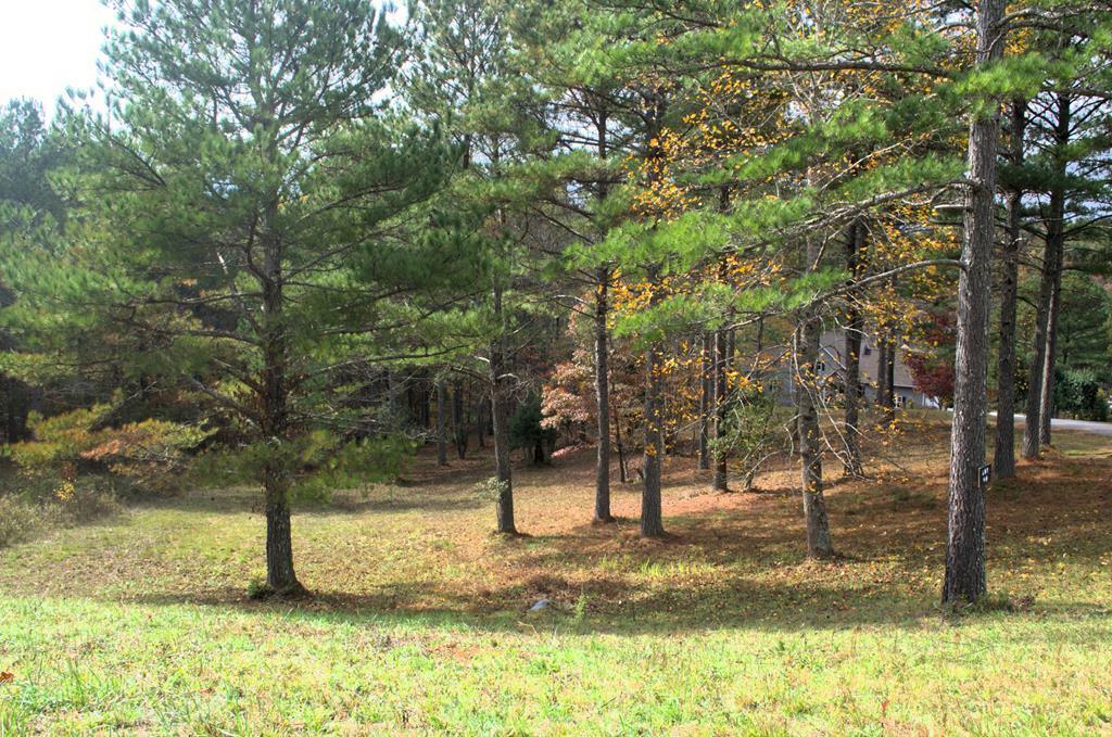 Lot 40 Pinehurst  Blairsville GA 30512 photo