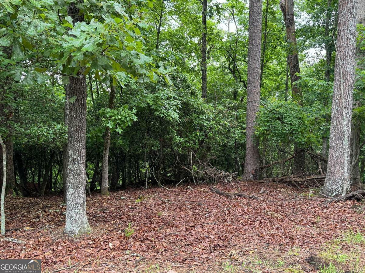 Property Photo:  0 Pamela Court  GA 30540 