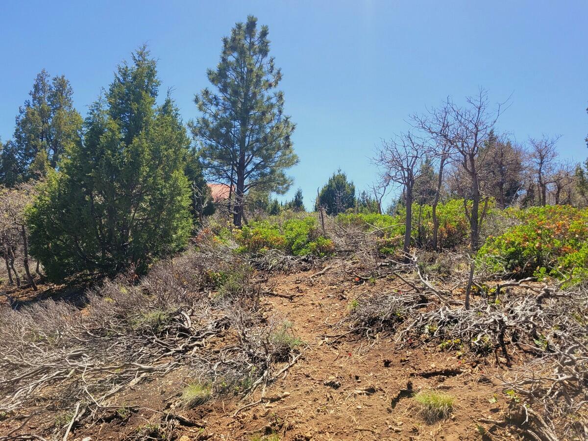 Property Photo:  Lot 6 Crestline Ave  UT 84762 