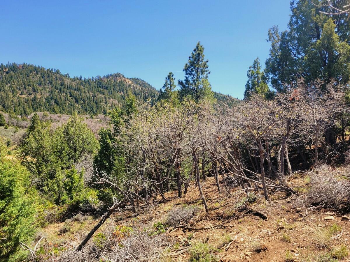 Property Photo:  Lot 5 Crestline Ave  UT 84762 