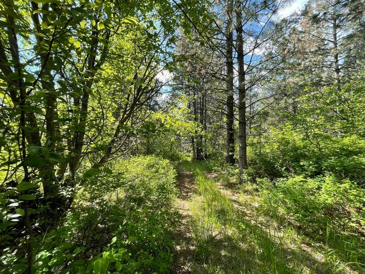 Property Photo: Nhn Addy Lane MT 59864