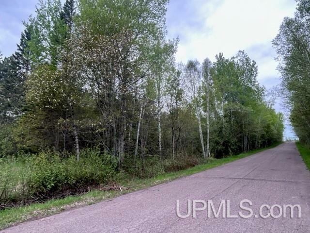 Property Photo:  51465 Marttila Parcel 6 Road  MI 49905 