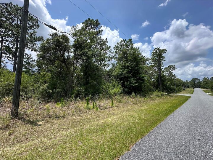 Property Photo:  2338 W Riley Drive  FL 34434 
