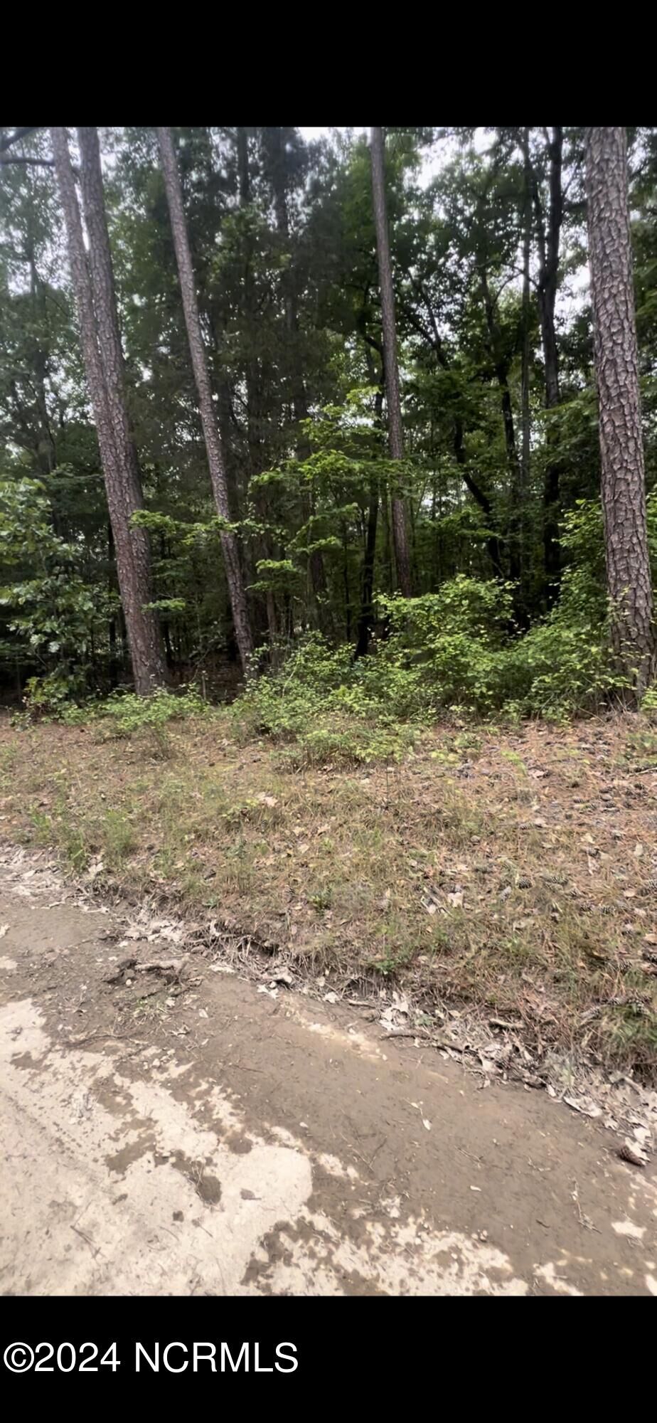 Property Photo: Lot 24 Cedar Ln Drive NC 27242