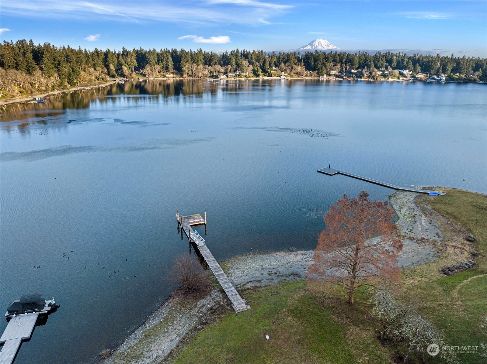 Property Photo:  11707 Gravelly Lake Drive SW  WA 98499 