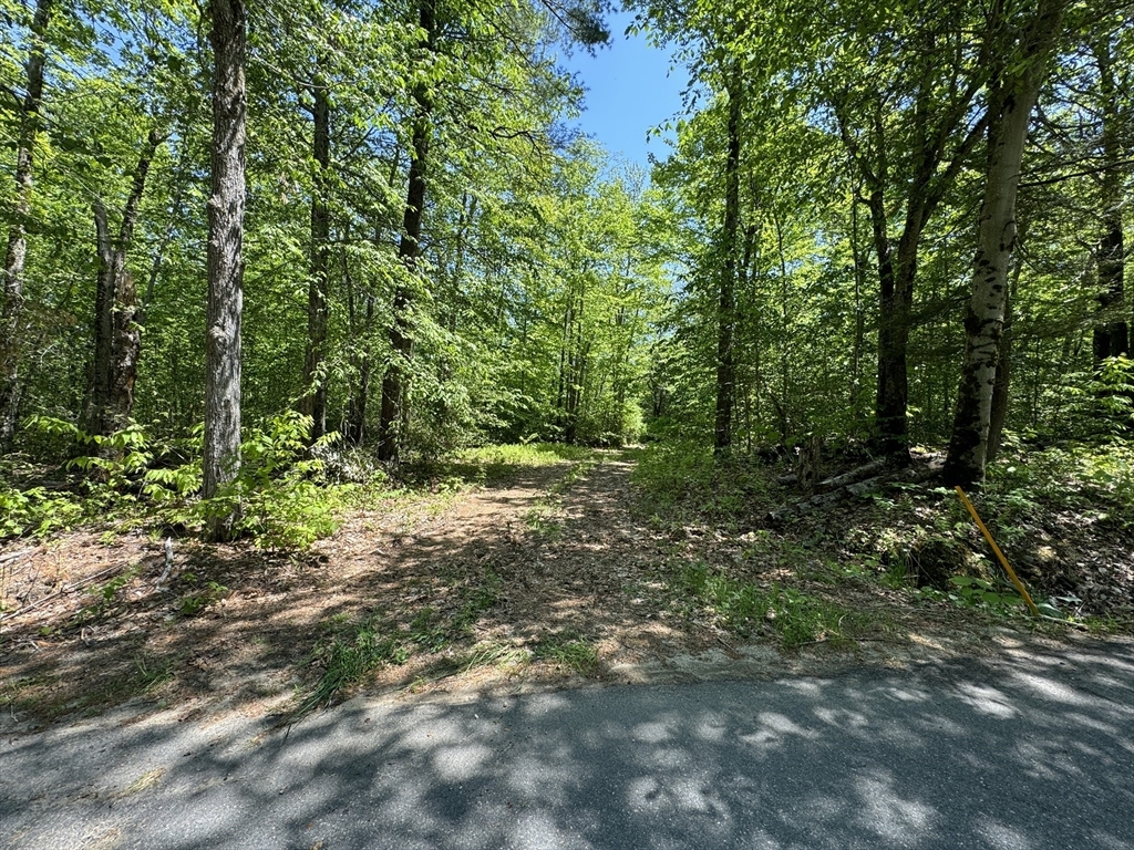 Property Photo:  Lot 56.1 Locke Hill Road  MA 01379 