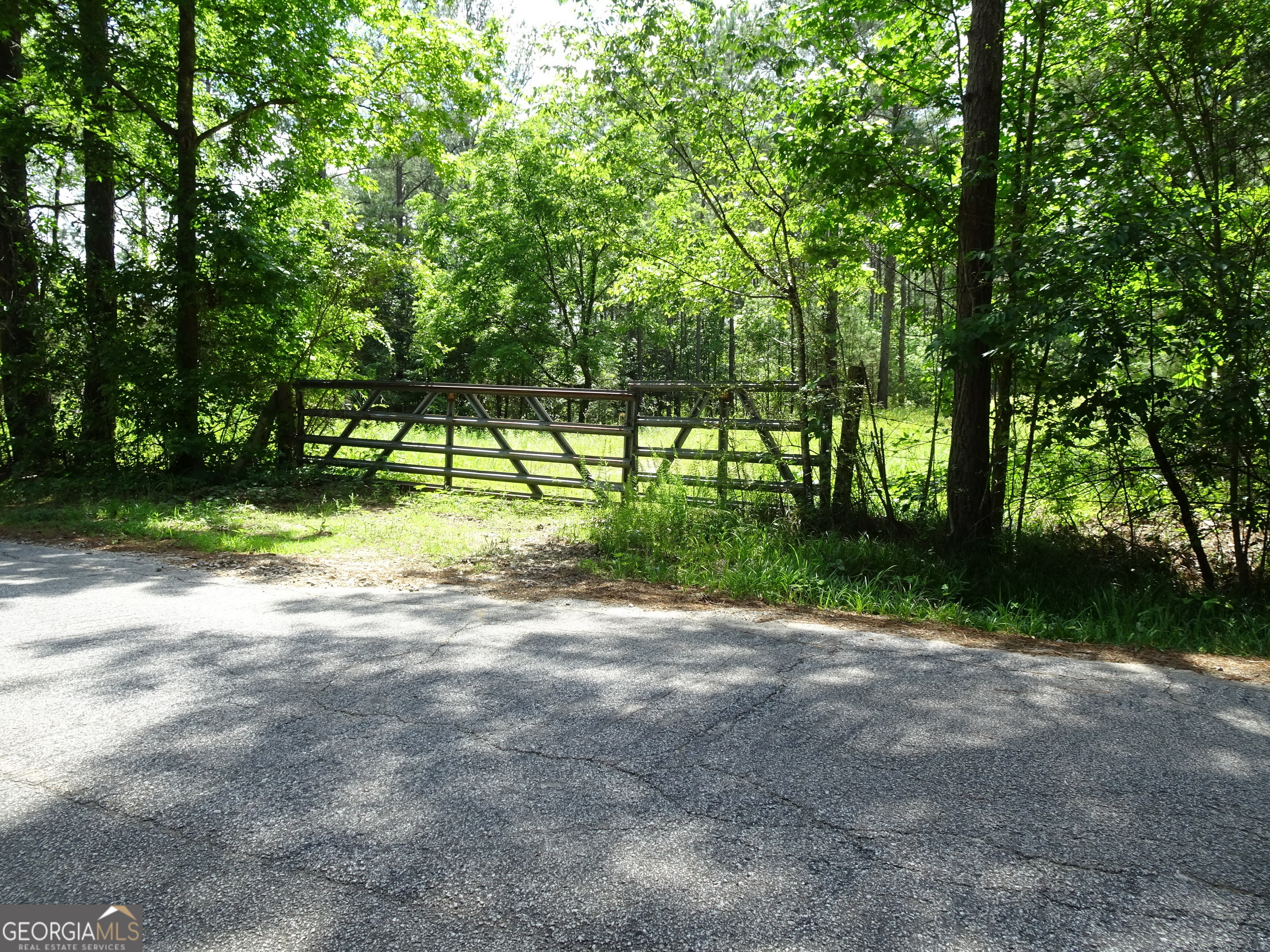 Property Photo:  60+ Ac Byrd And Townley Road  GA 30054 