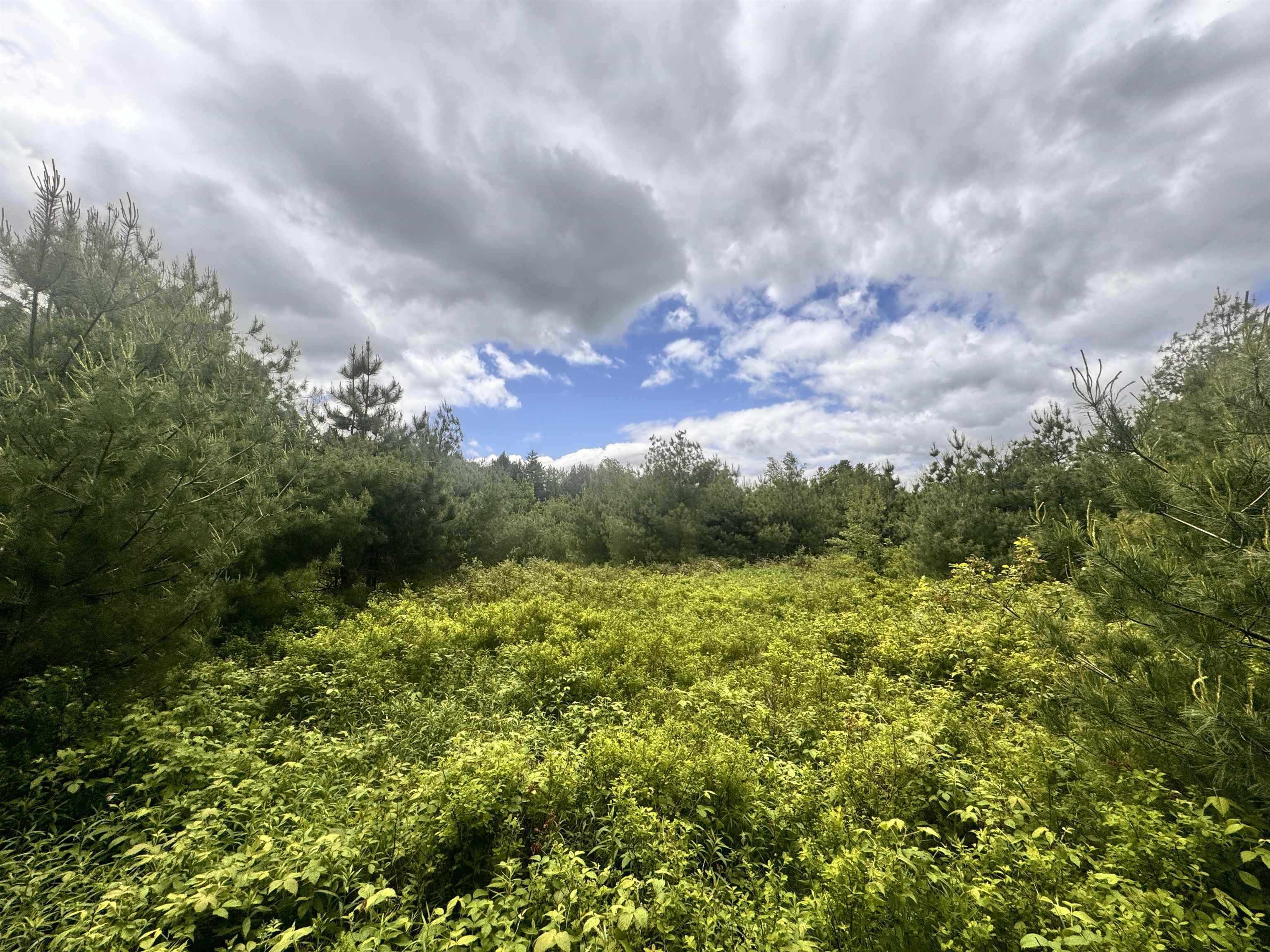 Property Photo:  Lot 3 Wildflower Way  NH 03774 