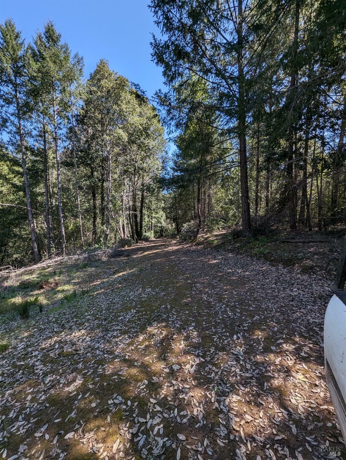 Property Photo:  30928 King Ridge Road  CA 95421 