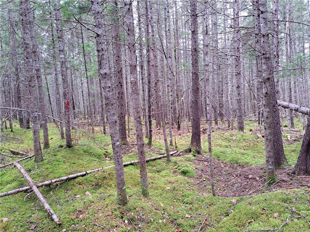 Property Photo:  Lot 2022-2 Sunpoke Road  NB E3B 8Y6 