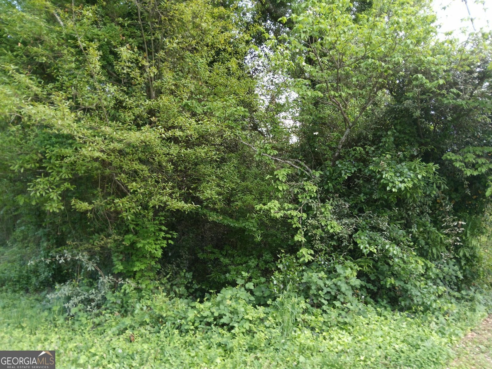 Property Photo: 2675 Sandtown Road GA 30060