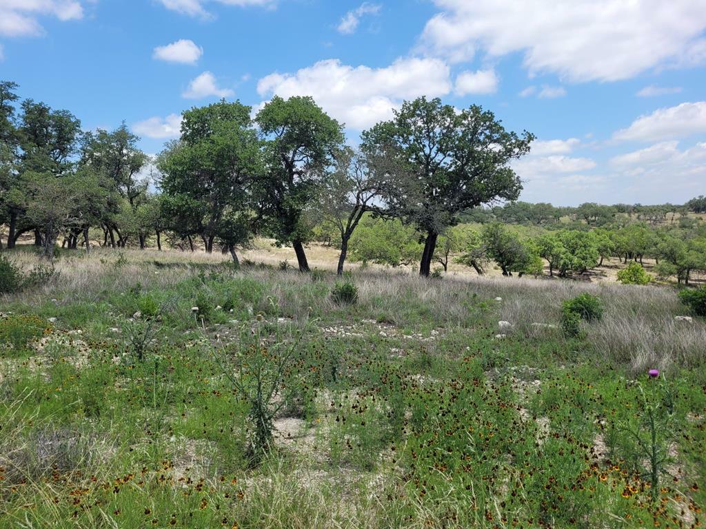 Property Photo:  0019 Mayers Ridge Dr  TX 78028 