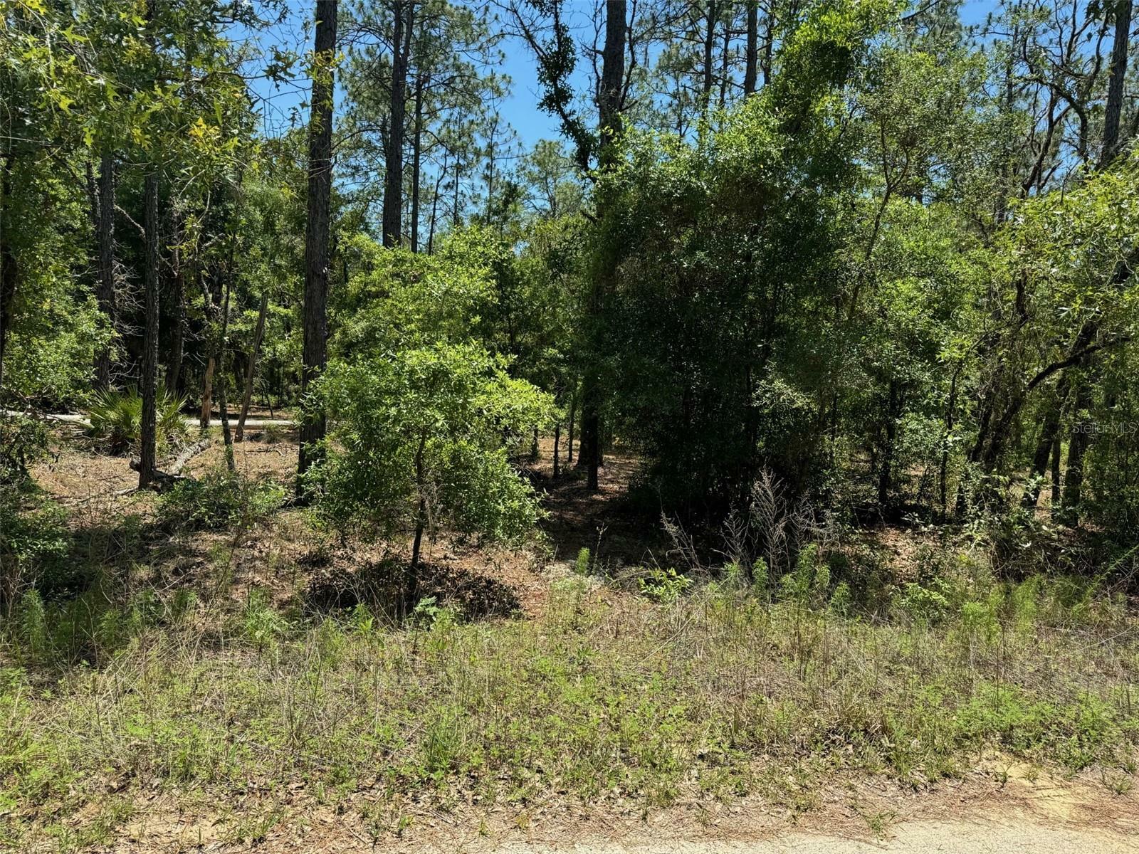 Property Photo: