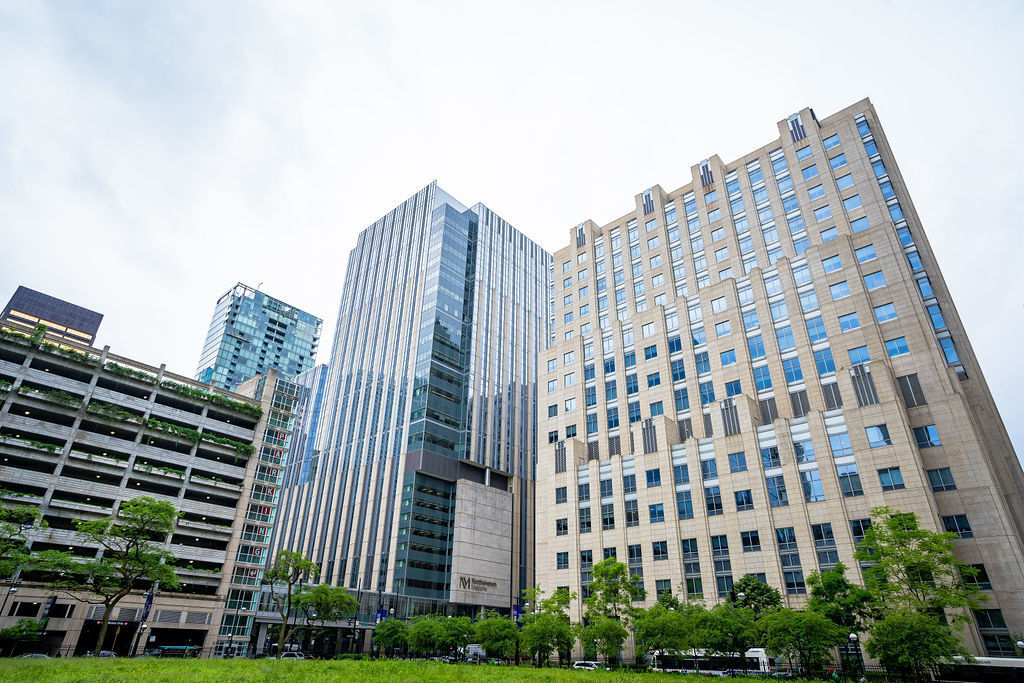 Property Photo: 233 E Erie Street 1309 IL 60611