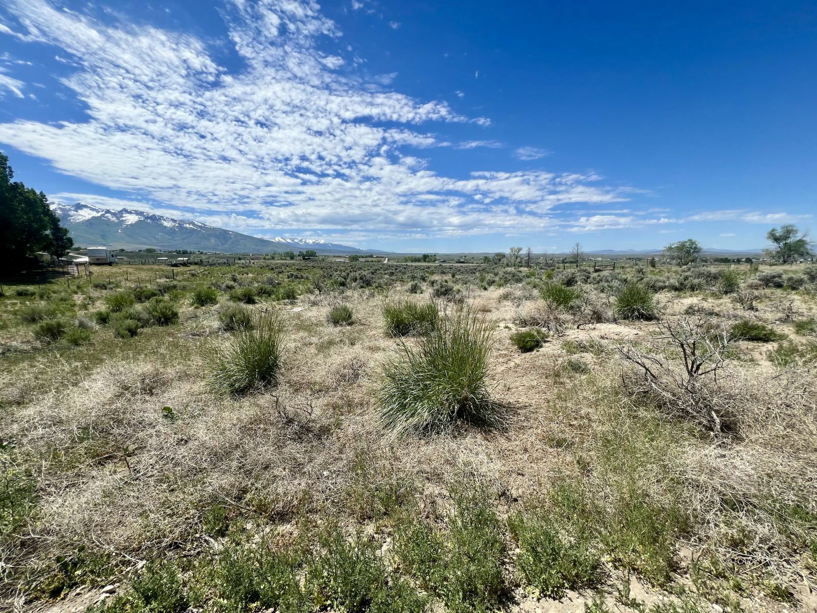 Property Photo:  246 Trentwood Drive  NV 89815 