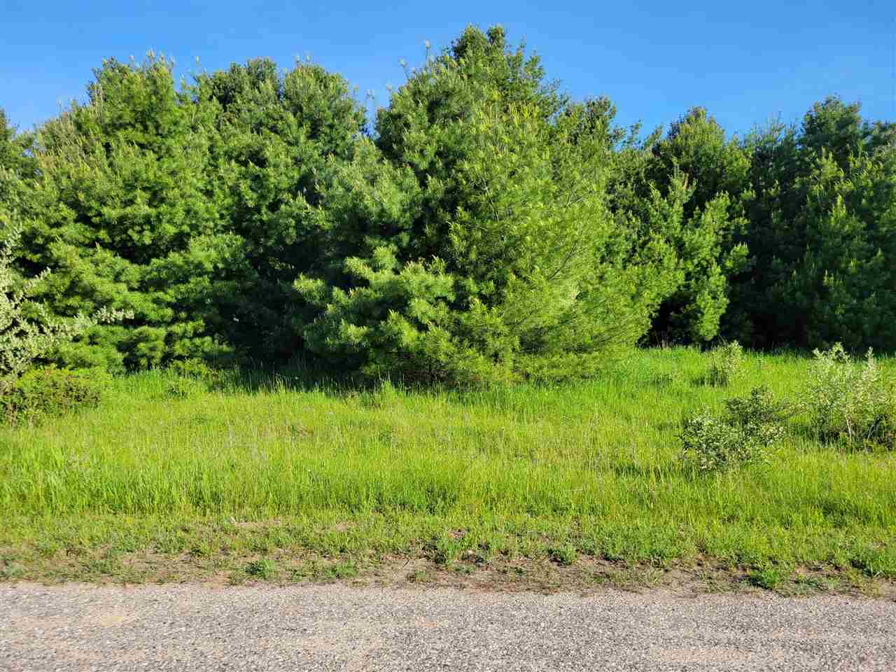 Lot 12 Stonebridge  Charlevoix MI 49720 photo