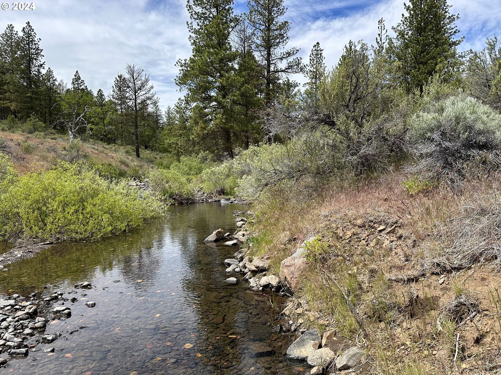 Property Photo: