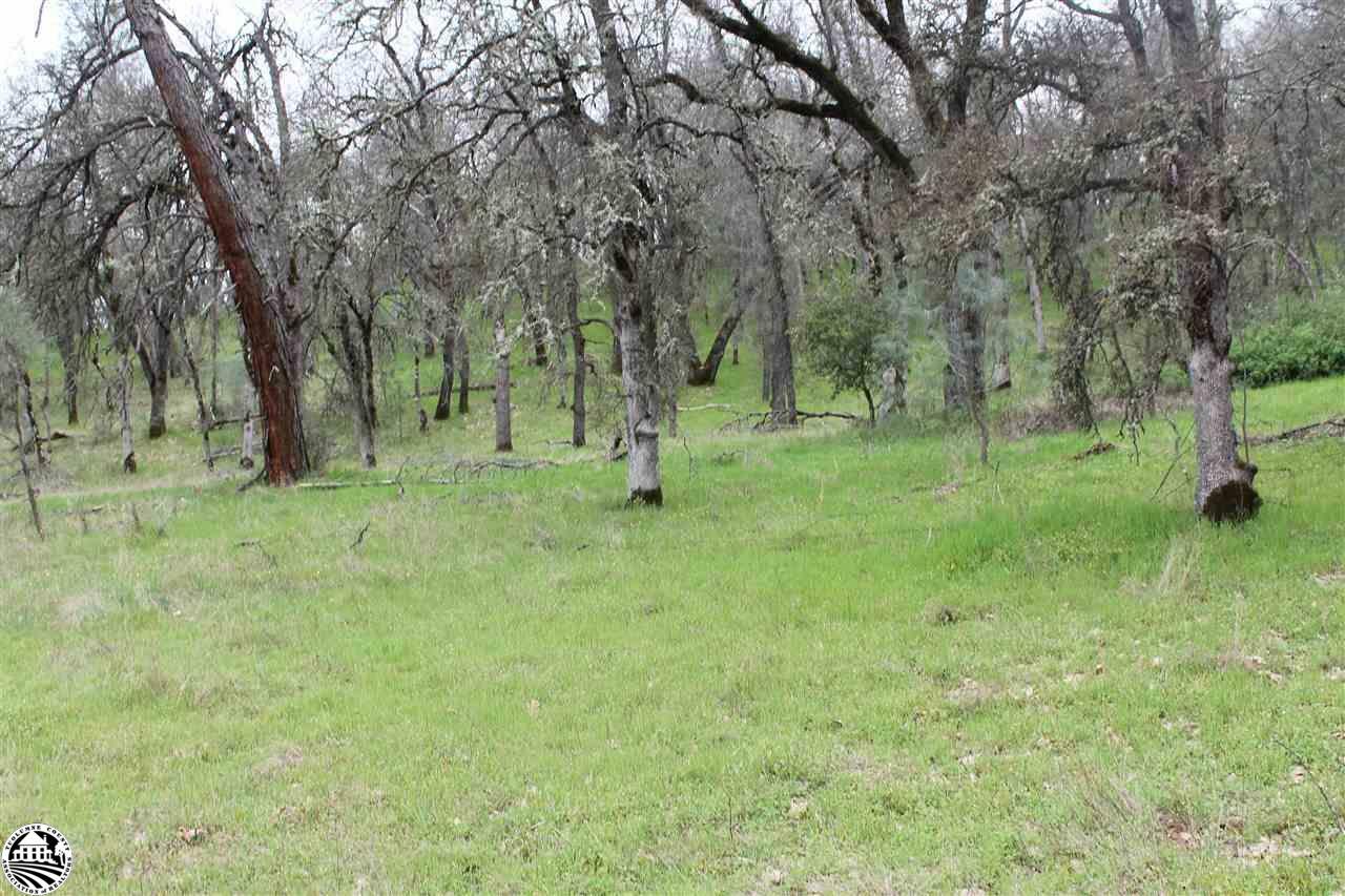 Lot 52A Kebra Lane  Sonora CA 95370 photo