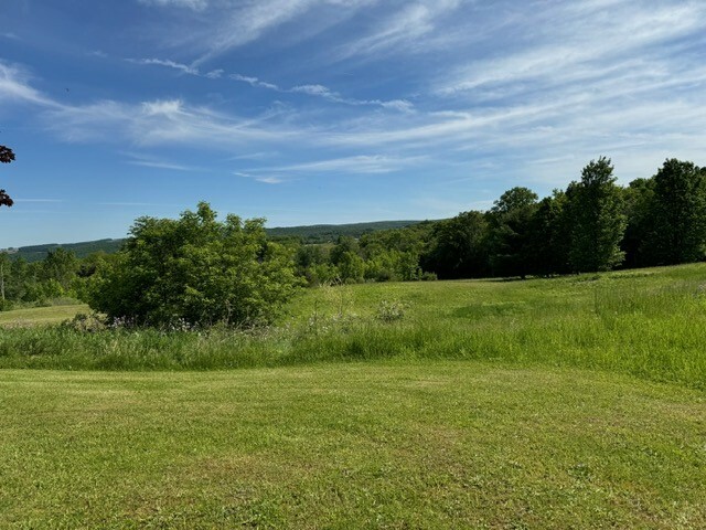 Property Photo:  9200 Cnty Rt 46 Road  NY 14807 