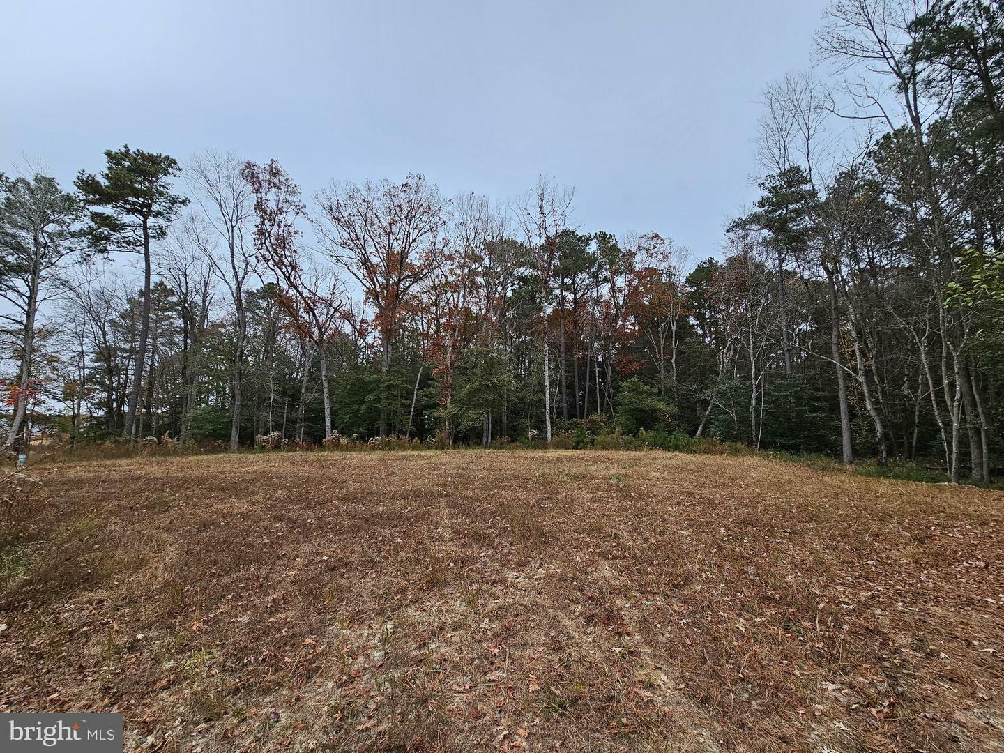 Property Photo:  Lot 4 Heron Ponds Parkway  MD 21875 