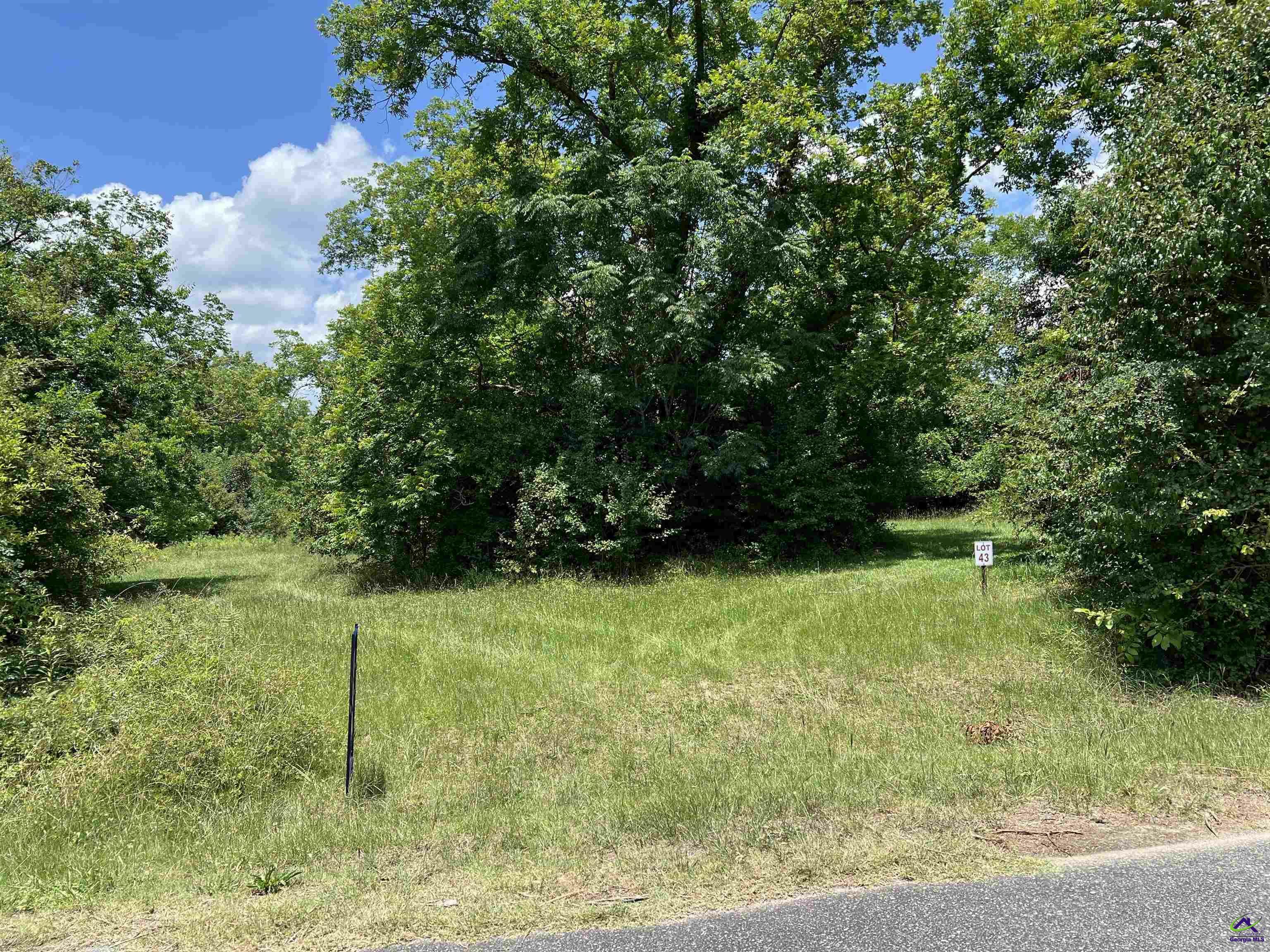 Property Photo:  Lot 43 Racetrack  GA 31014 