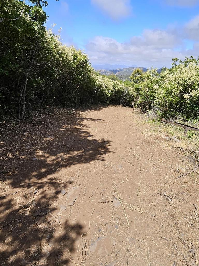 Property Photo: 5212 Acorn Patch Road CA 92036