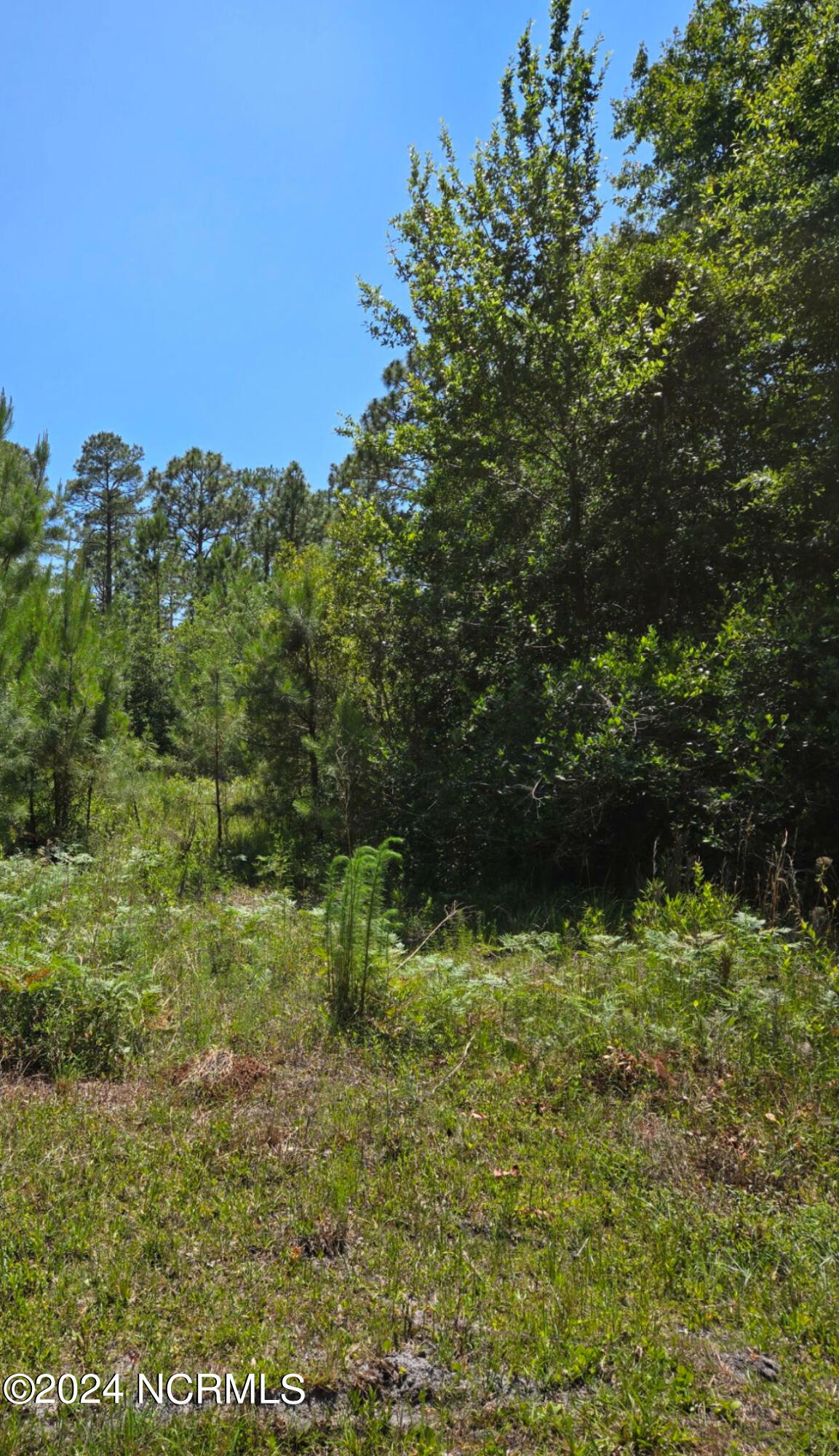 Property Photo:  Tr16 Wildwood  NC 28461 