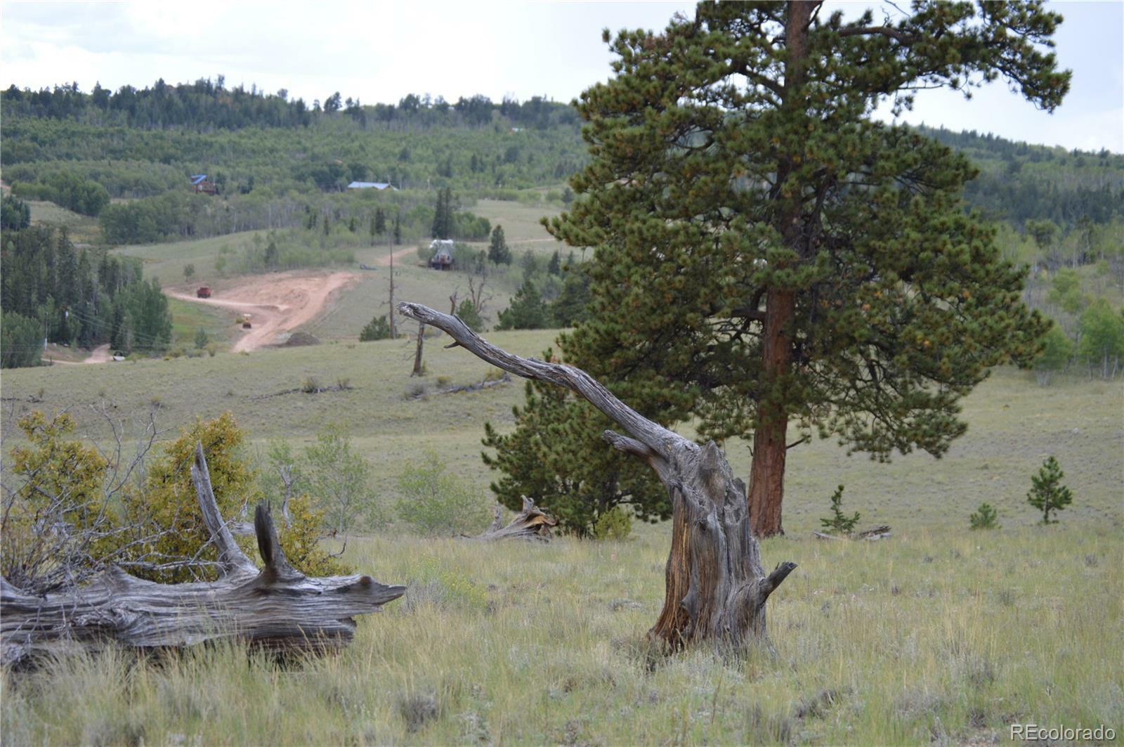 798 Hawk Way  Como CO 80432 photo