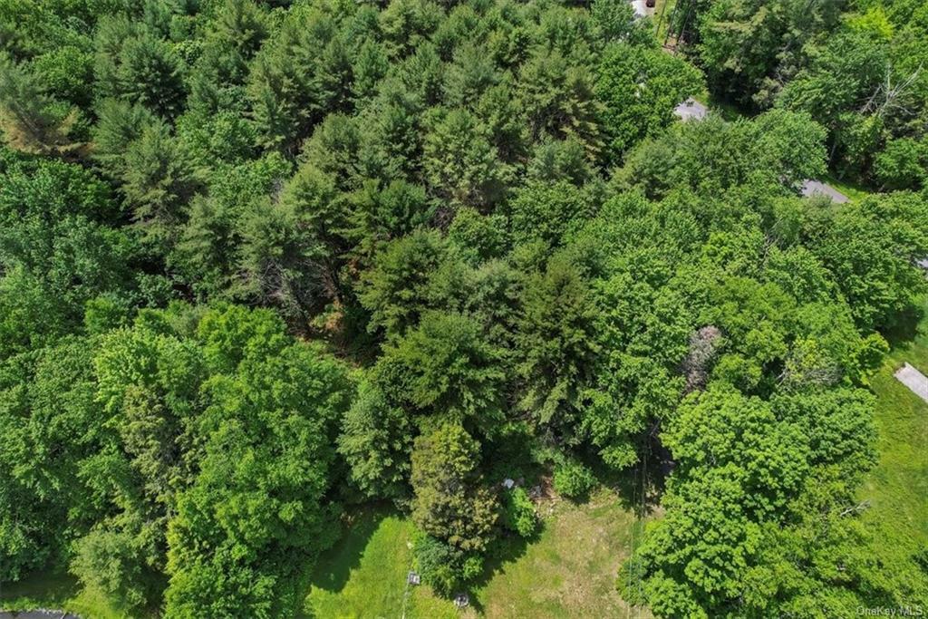 Property Photo:  Spook Hole Road  NY 12428 