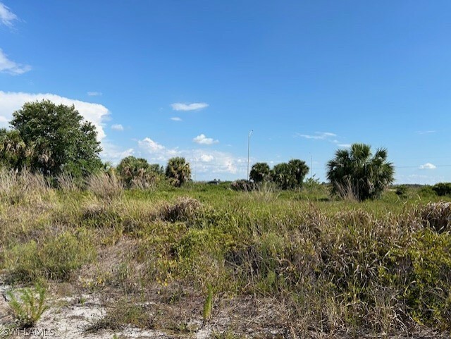 Property Photo:  3316 Meadow Road  FL 33974 