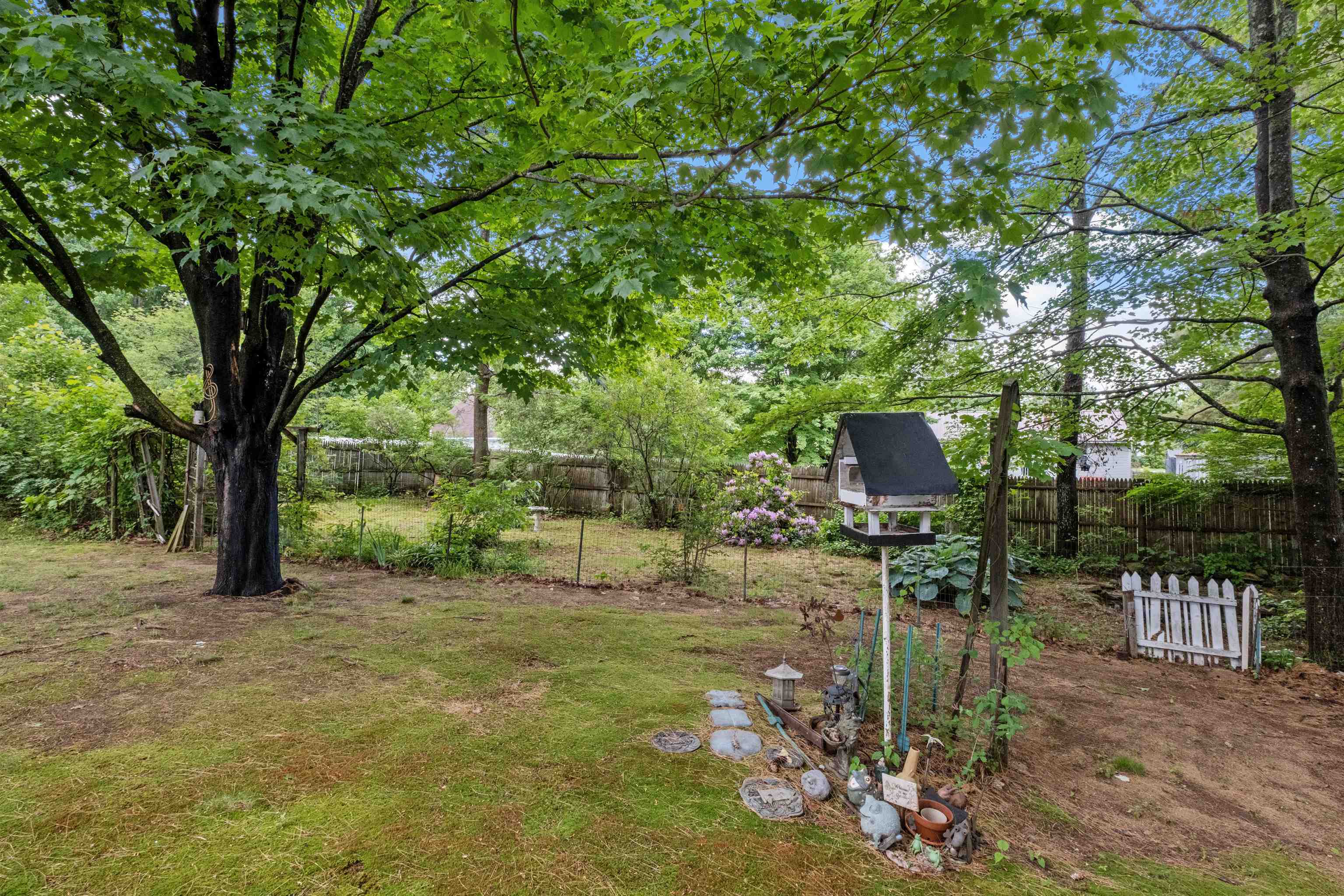 Property Photo:  56 Webster Lake Road  NH 03235 