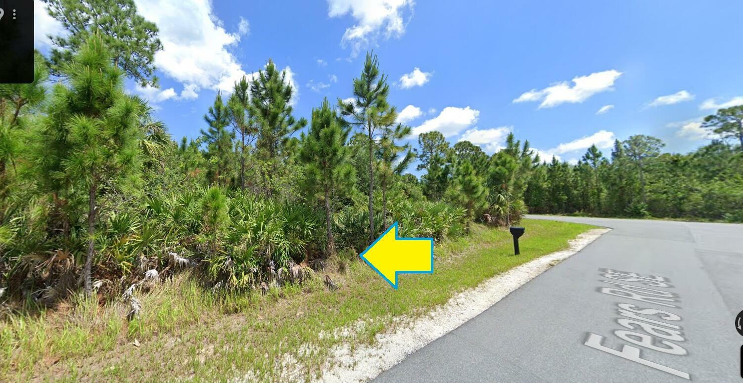 Property Photo:  2993 Fears Road SE  FL 32909 