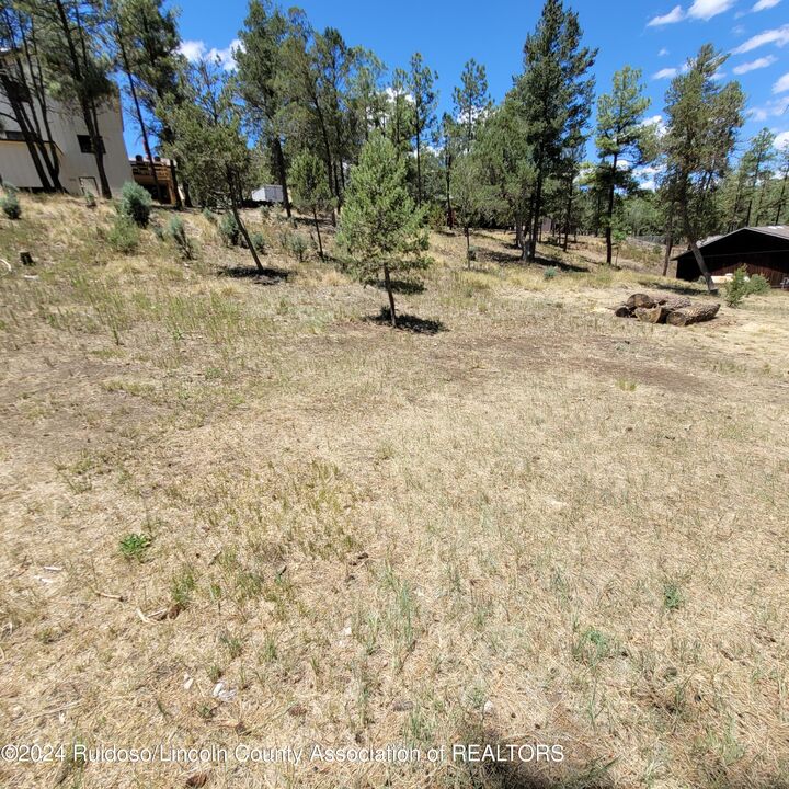 Property Photo: 206 Marble Drive NM 88345