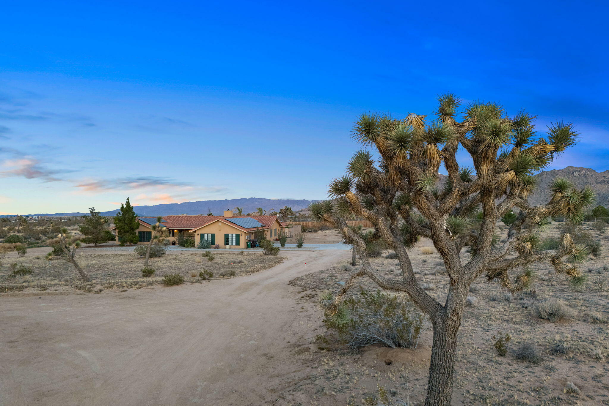 Property Photo:  3175 Waverly Drive  CA 92252 