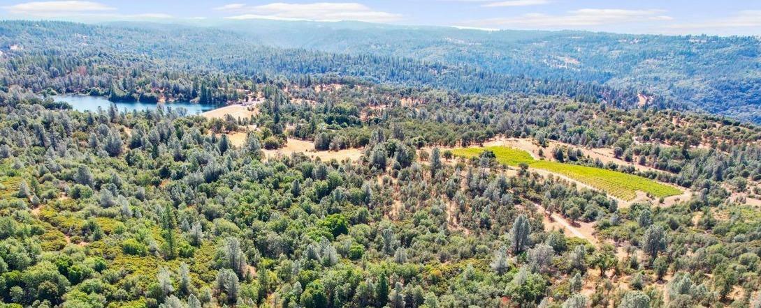 Property Photo:  2101 Trail Gulch Road  CA 95667 