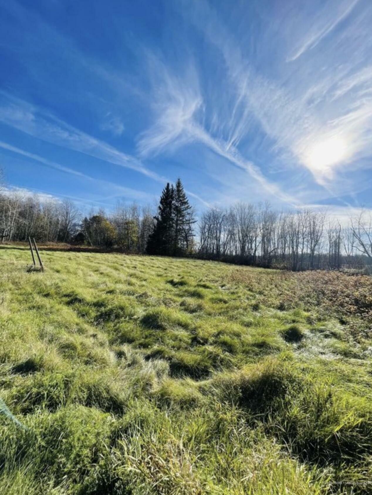 Property Photo: Lot# Dirigo Drive ME 04412