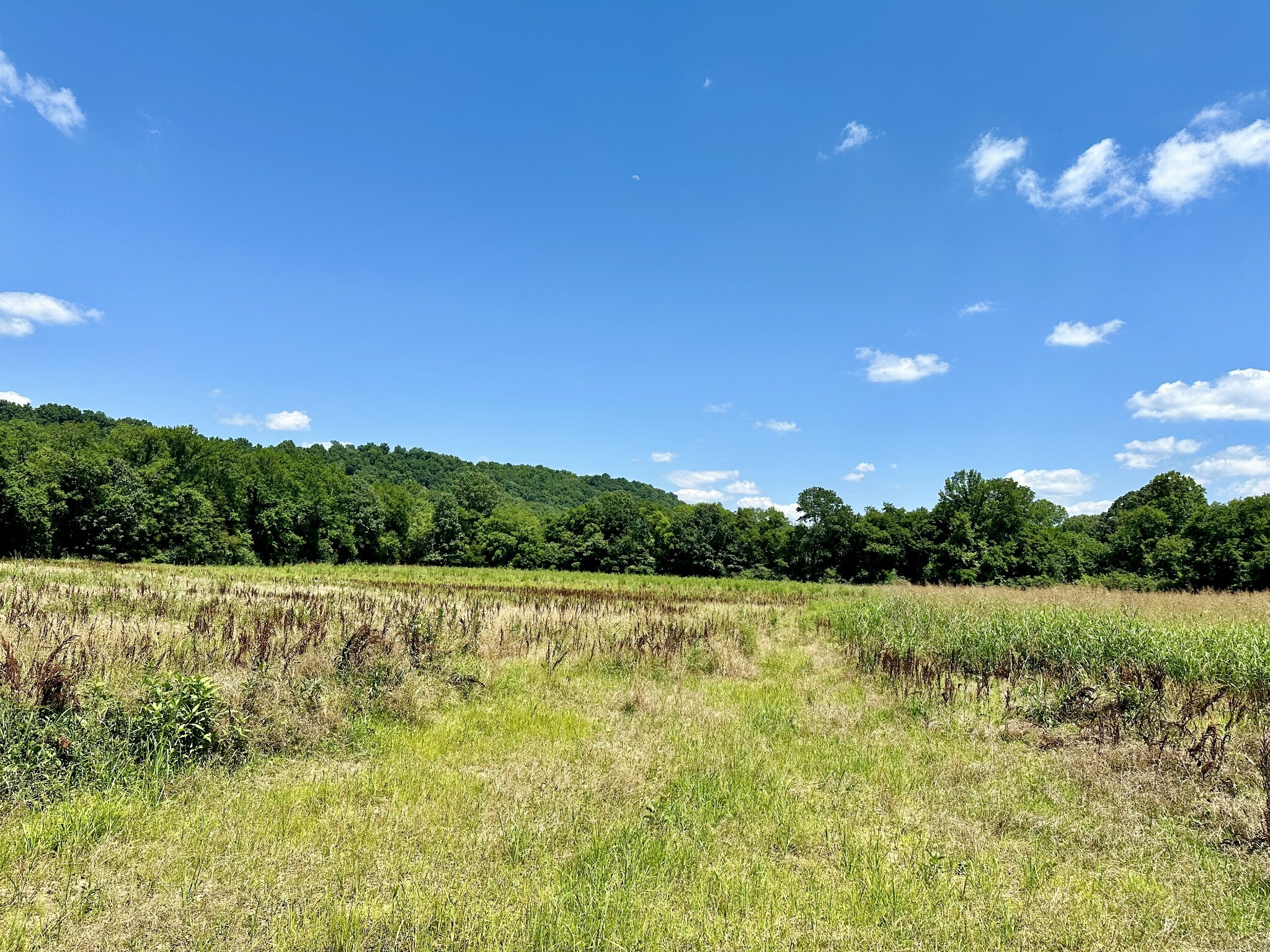 Property Photo:  0 Cedar Creek Road  TN 37096 