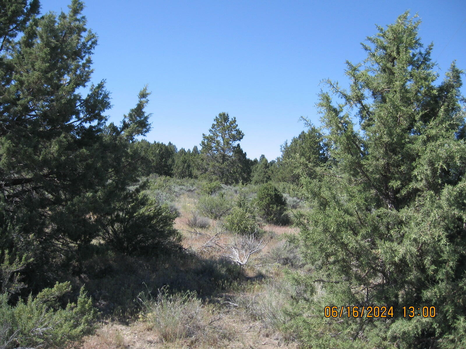 Property Photo:  Drews Road Lot 3  OR 97639 