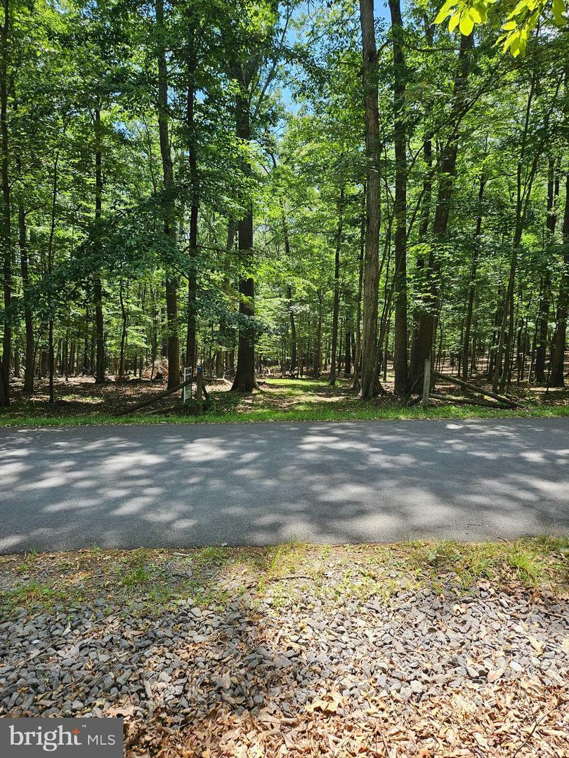 Property Photo:  1631 Sideling Mountain Trail  WV 25422 