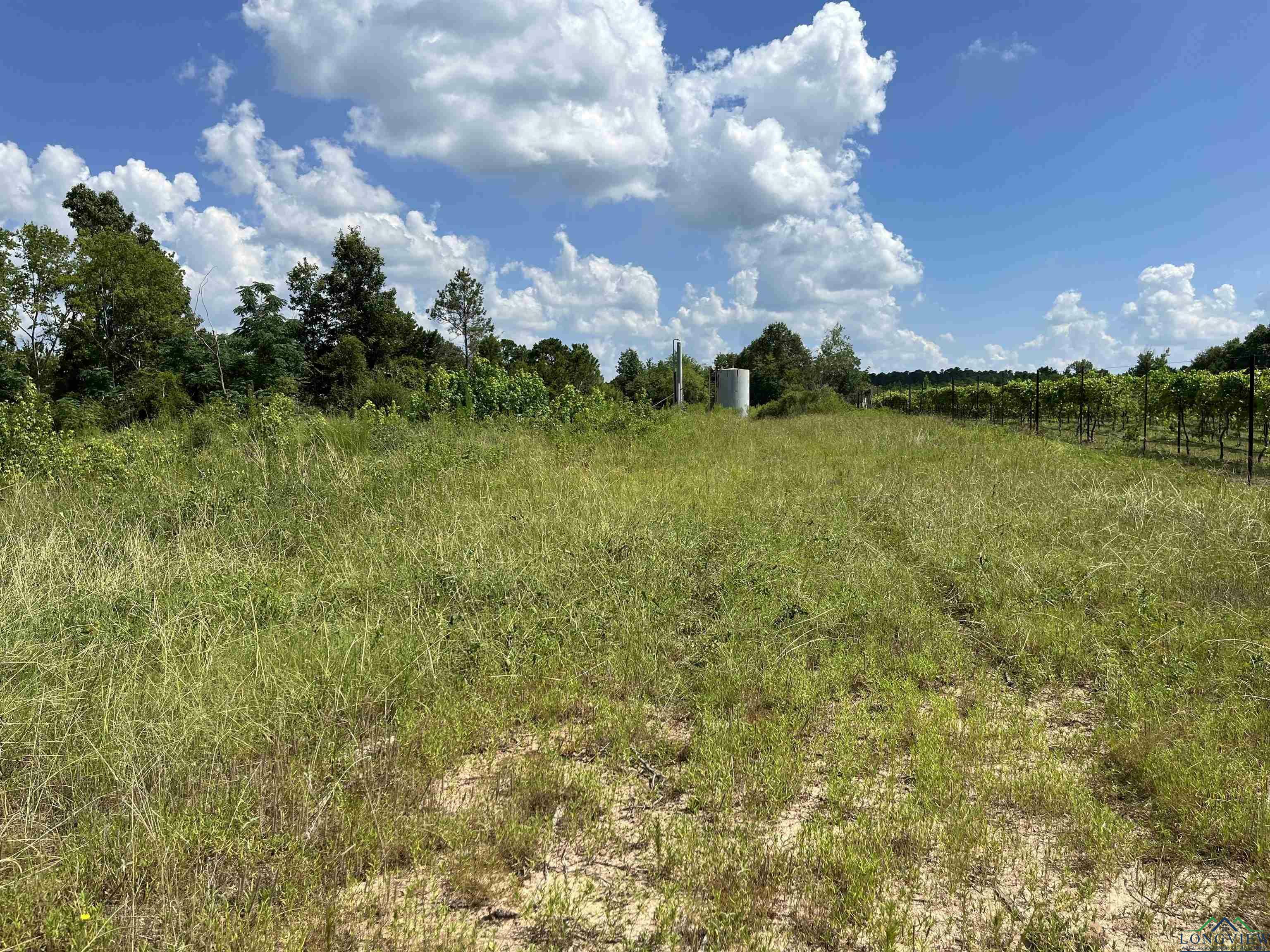 Property Photo:  Tbd 7.14 Ac Cr 343  TX 75652 