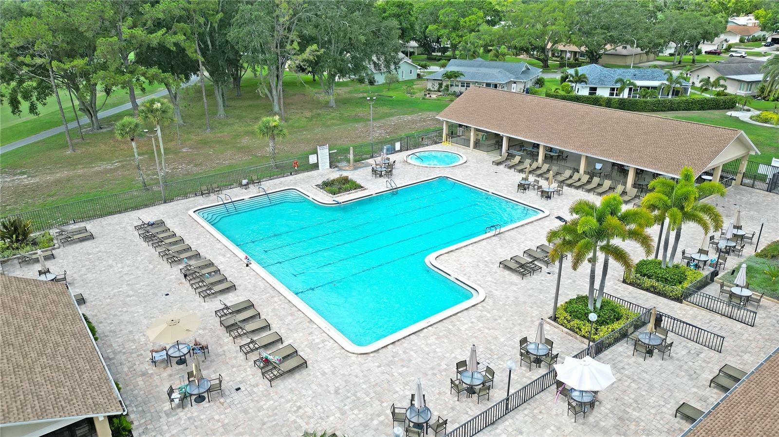 Property Photo: 994 Madrid Drive FL 34684