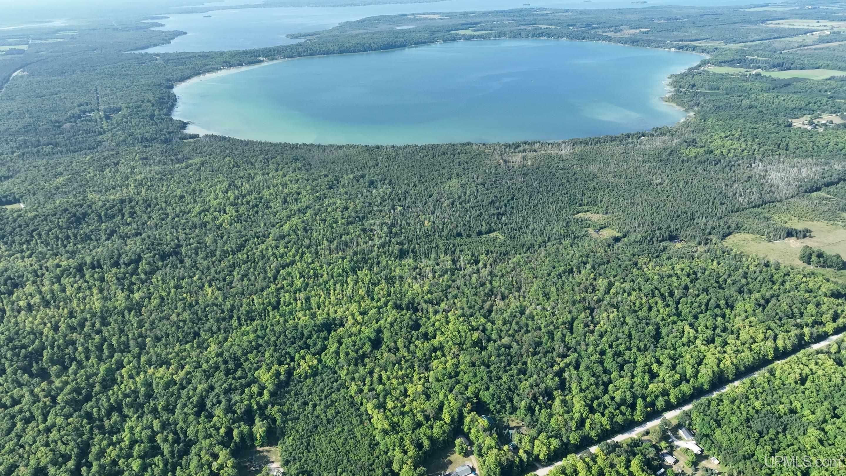 Property Photo:  N Manistique Lk Off Tressler Drive  MI 49853 