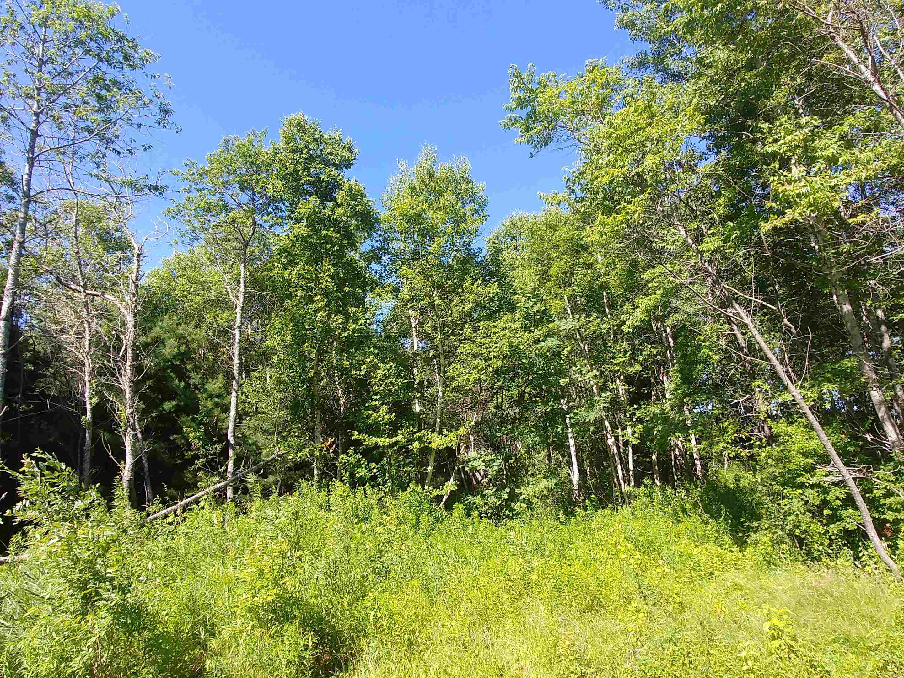 Photo de la propriété:  Lot 12 Birch Lane Lane  PE C0A 1L0 